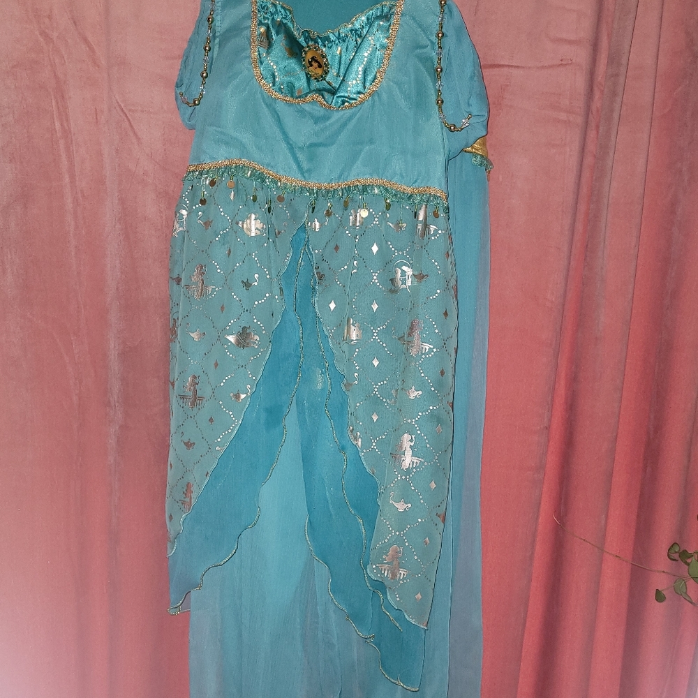 Disney princess jasmine costume